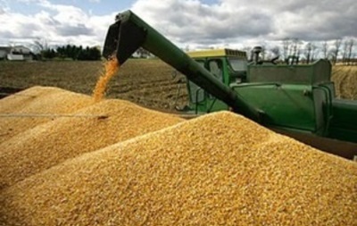Украина увеличила экспорт агропродукции вопреки санкциям РФ 